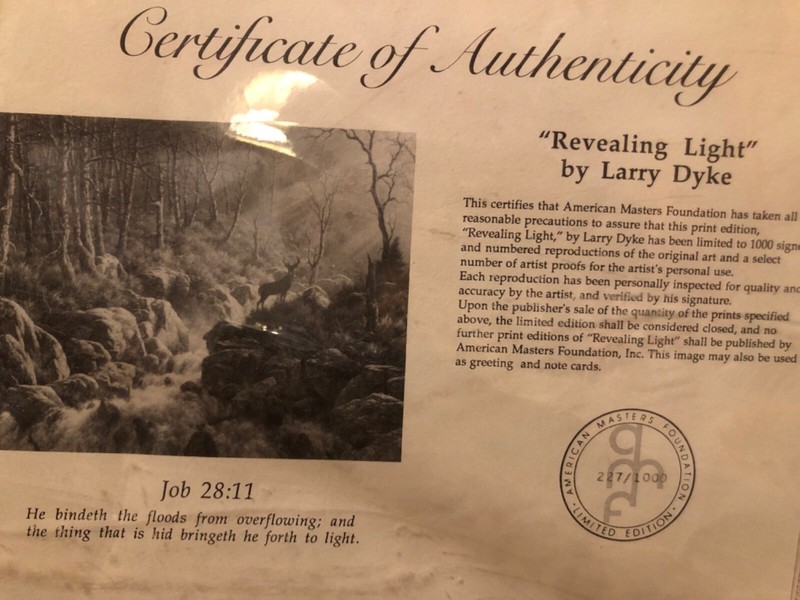 Larry Dyke certified print "Reaviling Light " 19x24 signed 227/1000 gallery