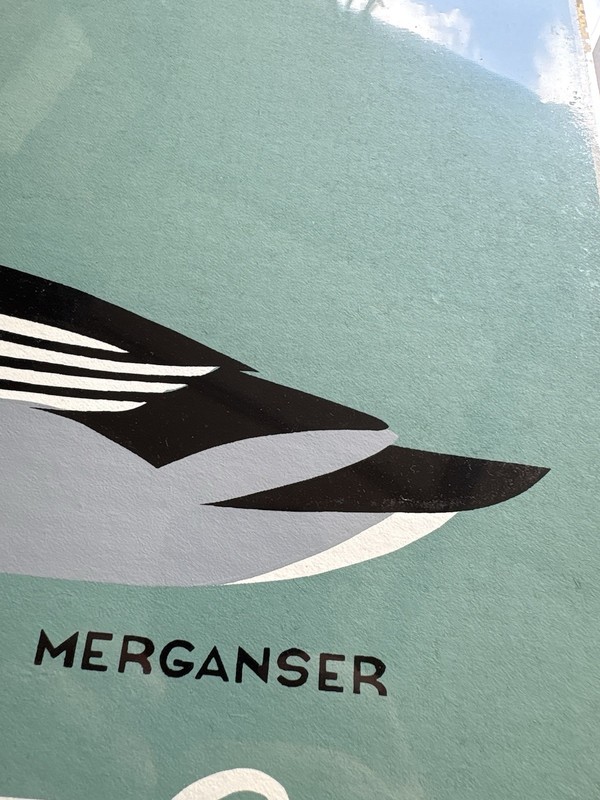 1988 Signed Hal Lott Screen Print Chincoteague Island Decoy Festival Merganser gallery