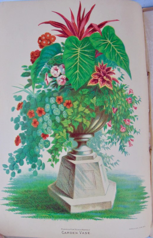 [CHROMOLITHOGRAPH] 20 Plates in Vick's Illustrated Monthly Magazine, 1878-1890 gallery