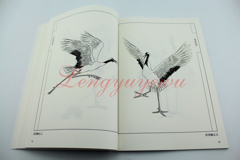 Chinese Ink Painting Hawk Eagle Red-Crowned Cran Outline Sketch Tattoo Book gallery