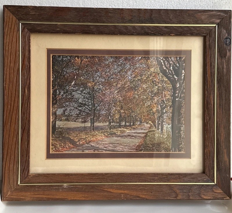 Vintage Framed Matted Foil Art MCM Landscape Trees Nature 12 5/8” X 10 5/8”