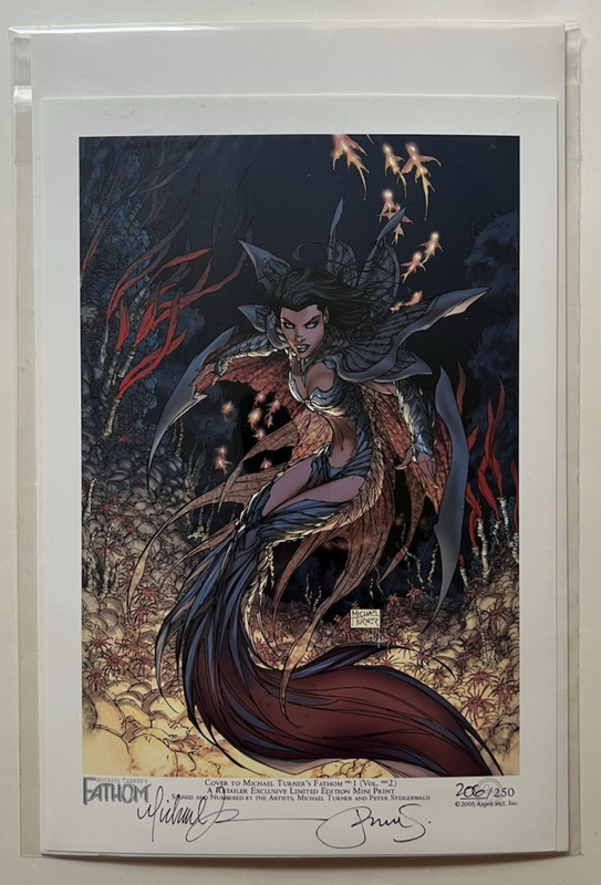 FATHOM #1 V2 MINI PRINT SIGNED NUMBERED 206/250 MICHAEL TURNER PETER STEIGERWALD