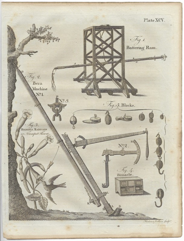 Antique 1793 ORIGINAL SCIENTIFIC ENGRAVING Natural History, Botany, Engineering