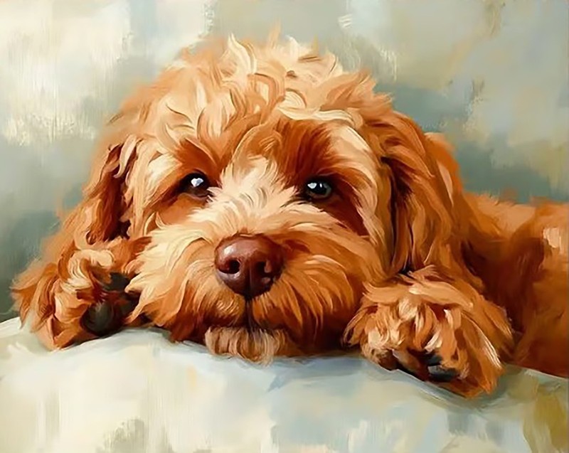 Cockerpoo Dog Animal Painting Print Unframed Canvas Wall Art 30 x 40cm