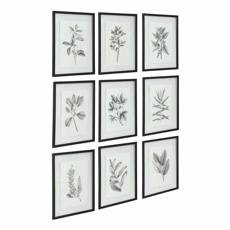 Botanical Black and White Floral Print Set 9 Wall Art Grouping Leaves Framed gallery