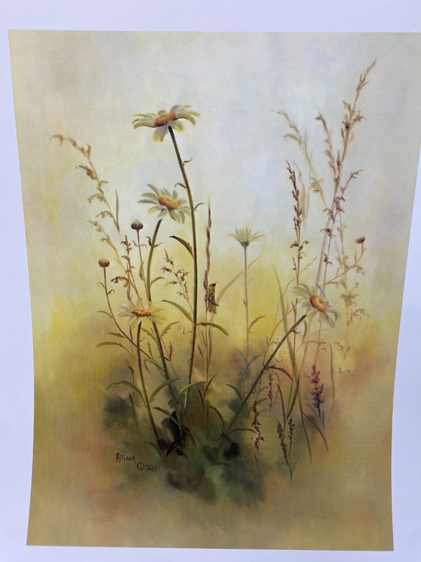 Vtg Texas Betty Allison Print Field of Daisies Flowers Large Floral Weeds Yellow