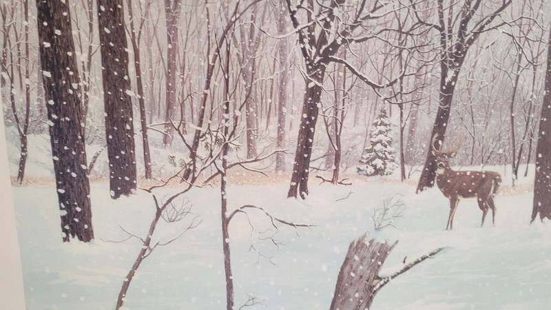 Beautiful "The Hollow" Print By Marvin Hill signed & Numbered 12 X 24 gallery