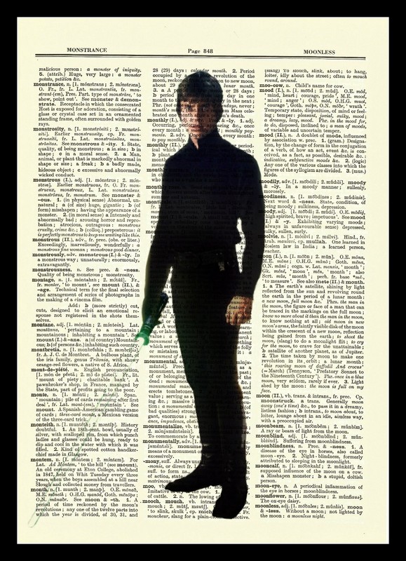 Luke Skywalker Star Wars Dictionary Picture Art Print Book Page Poster Jedi
