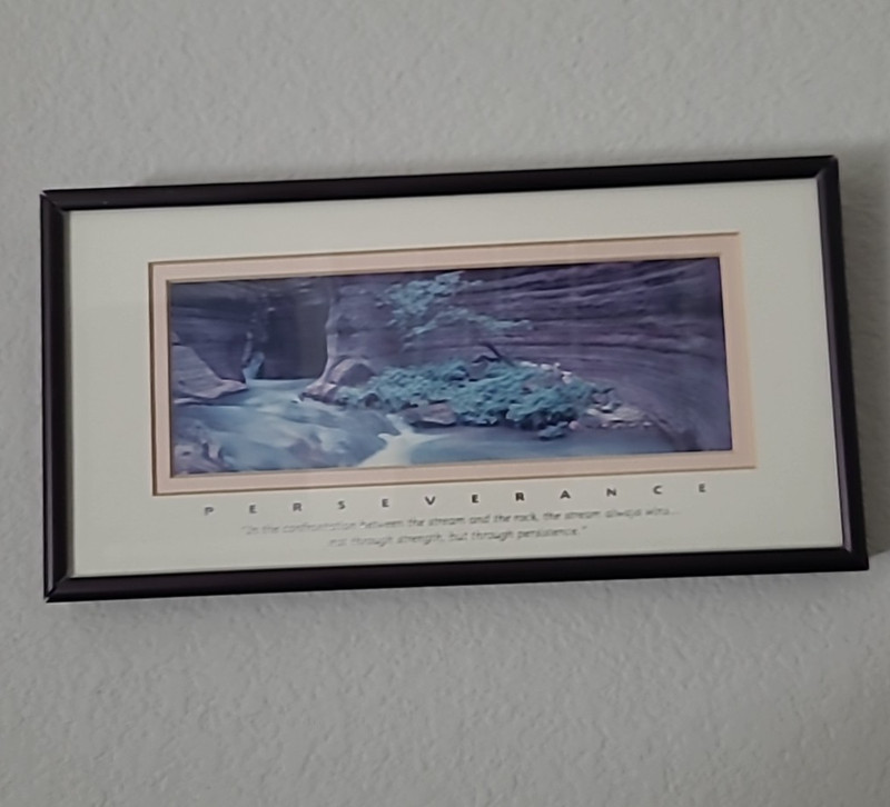 Vintage 1995 Perseverance Framed Lithograph By Susan Drinkler Grand Canyon