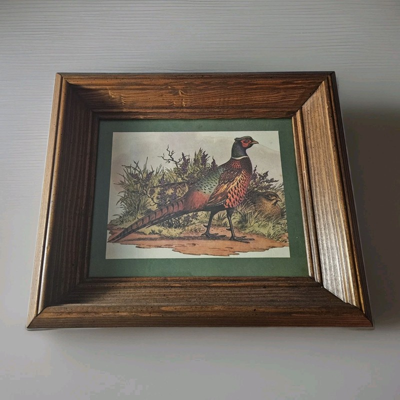 VTG Pheasant Print Gregory Messier Chunky Wood Frame 13" x 11" Rustic Man Cave