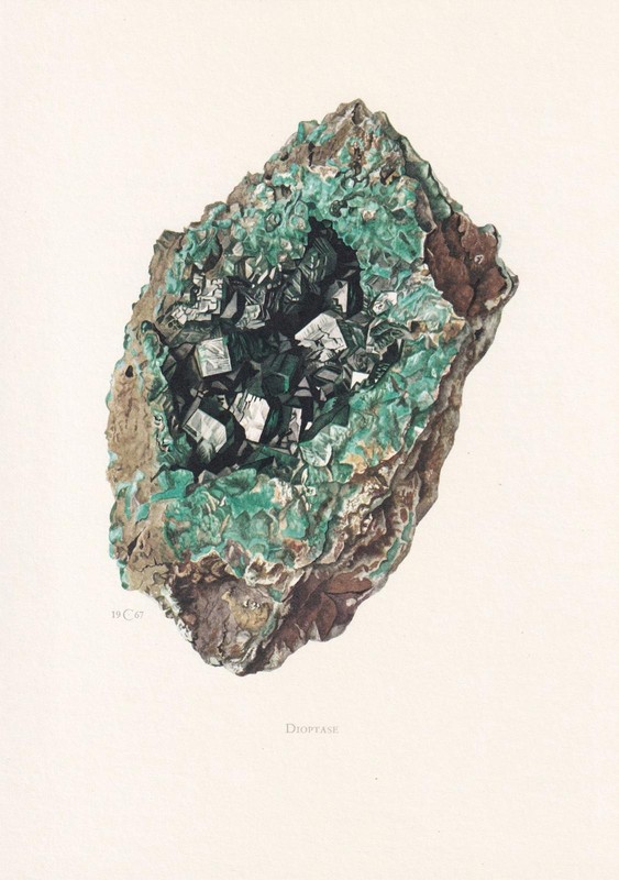 1968 DIOPTASE Print – Vintage Mineral Wall Art Gift – 7.5 x 10.6 Inches