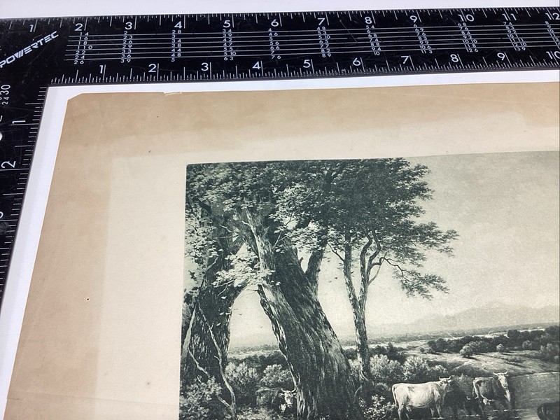 P1-6 Art Paper Etching Print PHOTO CASILEAR DISTANT VIEW BY CATSKILLS CATTLE OLD gallery