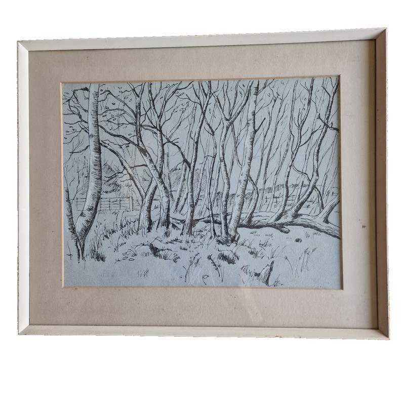 Framed Woodland Landscape Pen Ink Print Black White Monochrome Wall Art 40cm