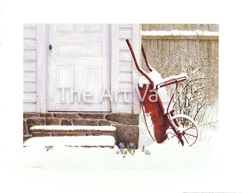 Ned Young White Door Snow Old Wheelbarrow Purple Tulips 20x16 in