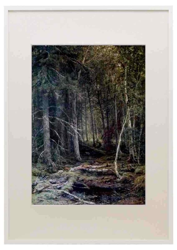 Shishkin Ivan Forest C 1860 A3 A4 Framed Print Picture