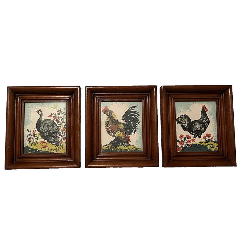 Margo Alexander of California 1940s 50s Vtg Framed Art Prints Birds Rooster Hen