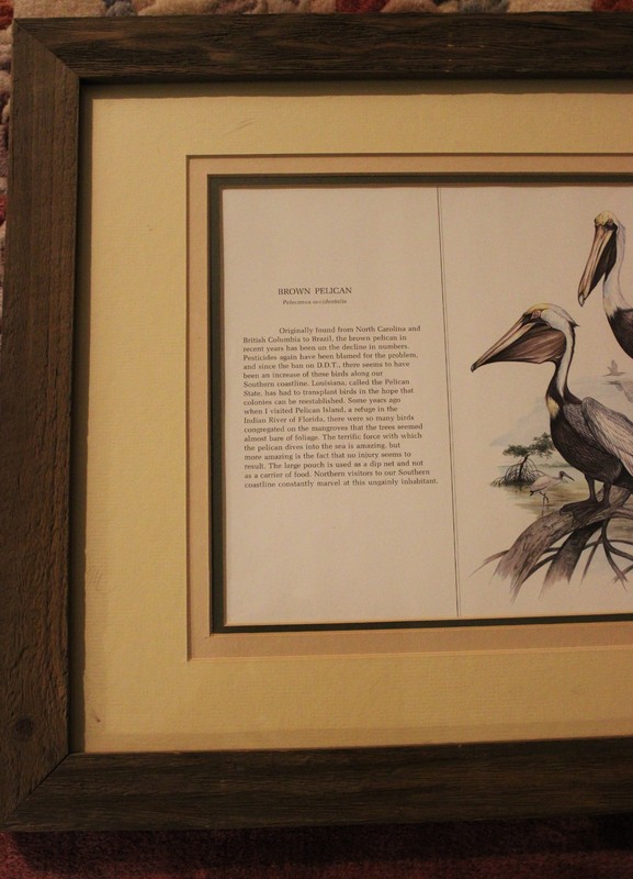 Brown Pelican Triple Matted & Framed Color Print 22.5 X 18.5 James Lockhart Mint gallery