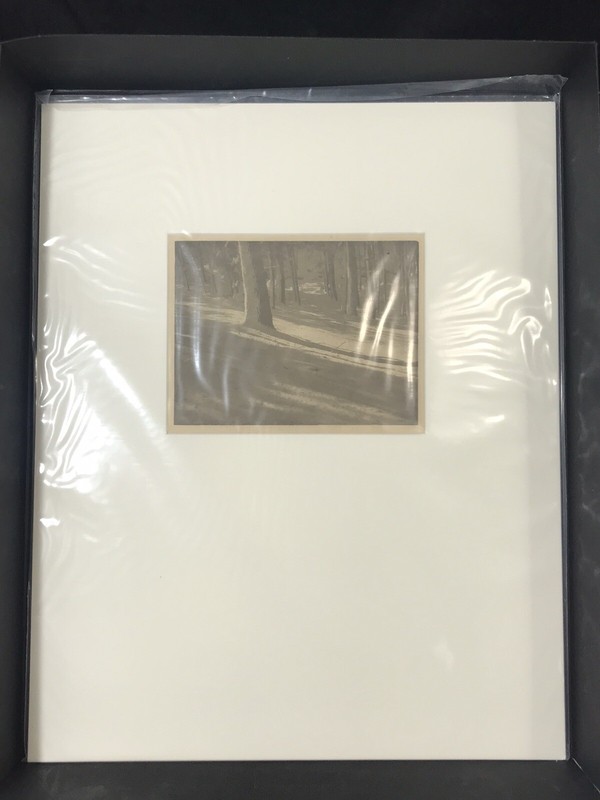 Original ALVIN LANGDON COBURN Photogravure “Winter Shadows" 1903 Camera Work III