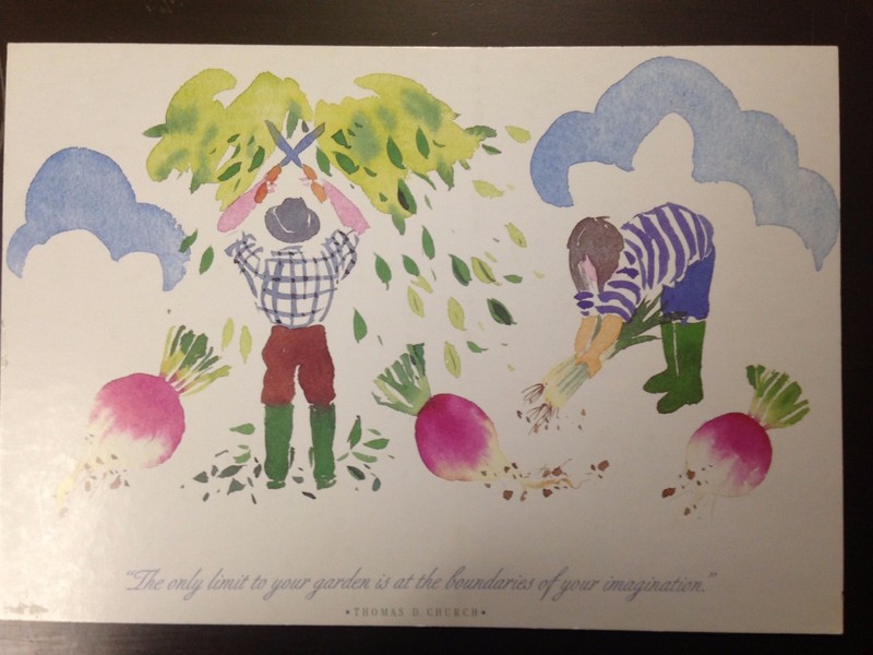 Men/Beets By Thomas Church