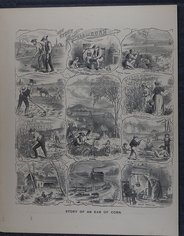 Farmer Corn Farming Story of An Ear of Corn Antique Engraving Art Print 1880
