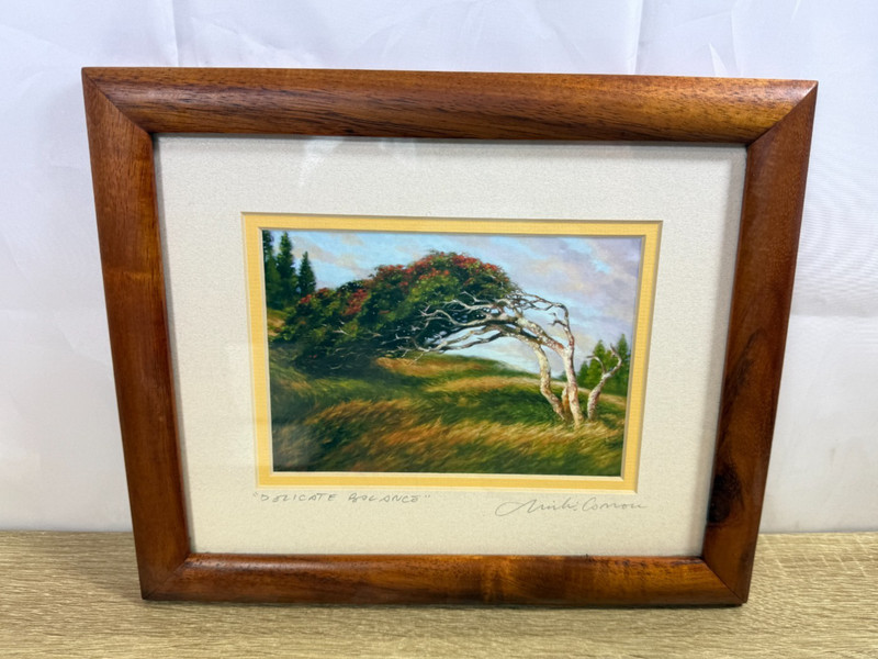 Mike Carroll "Delicate Balance" Signed Hawaii Art Print Framed Lanai Flame Tree