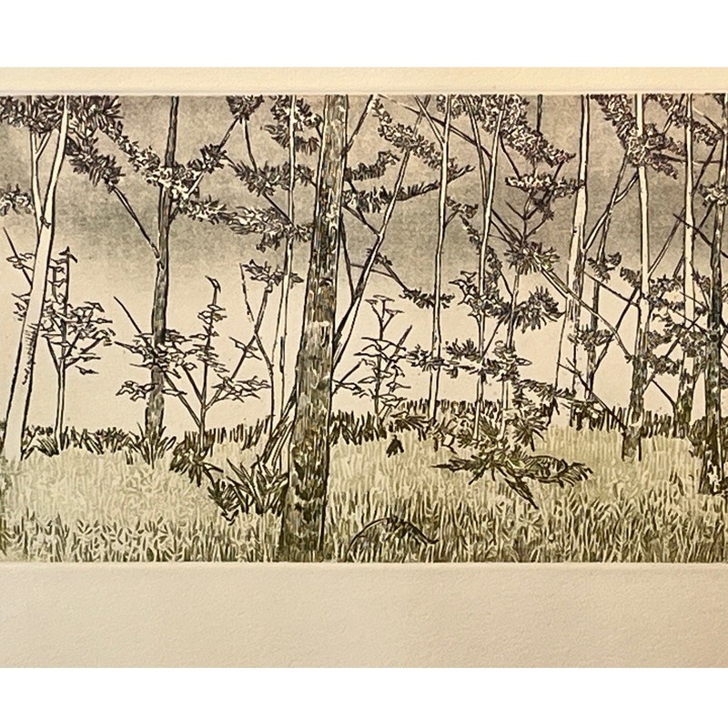Ruth Leaf Signed Etching "Ballet for 26 Trees" 29x22 Ltd Ed 13/200 BFK Rives Art gallery
