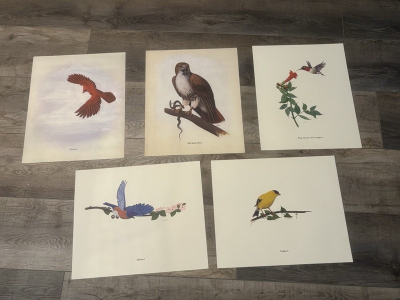 1979 Iowa bird prints by David Silk, DSM Register illustrator 14×17