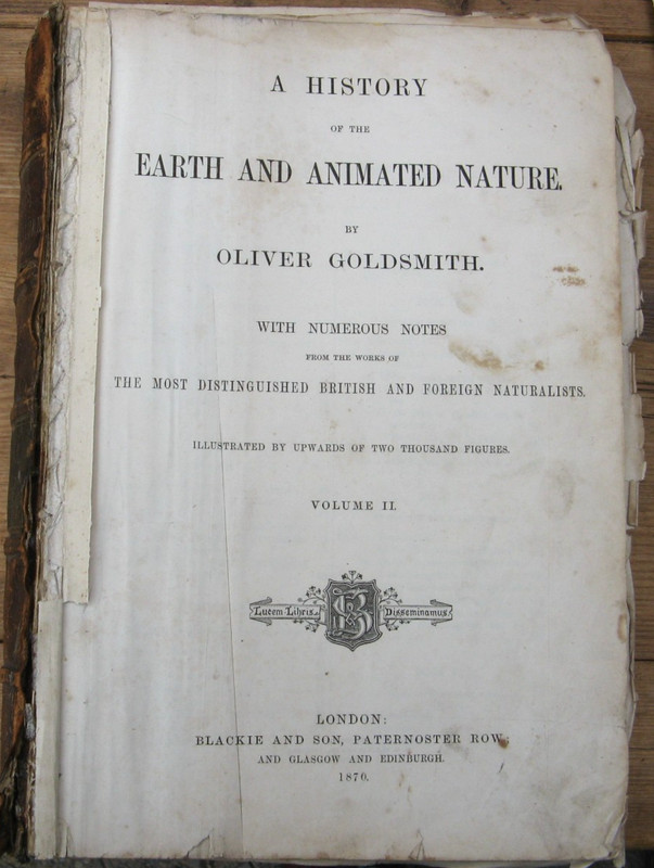 1870 Reptiles Ornithology- Oliver Goldsmith Natural History Engraving Print gallery