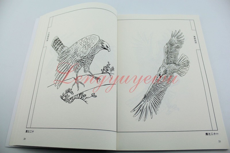 Chinese Ink Painting Hawk Eagle Red-Crowned Cran Outline Sketch Tattoo Book gallery