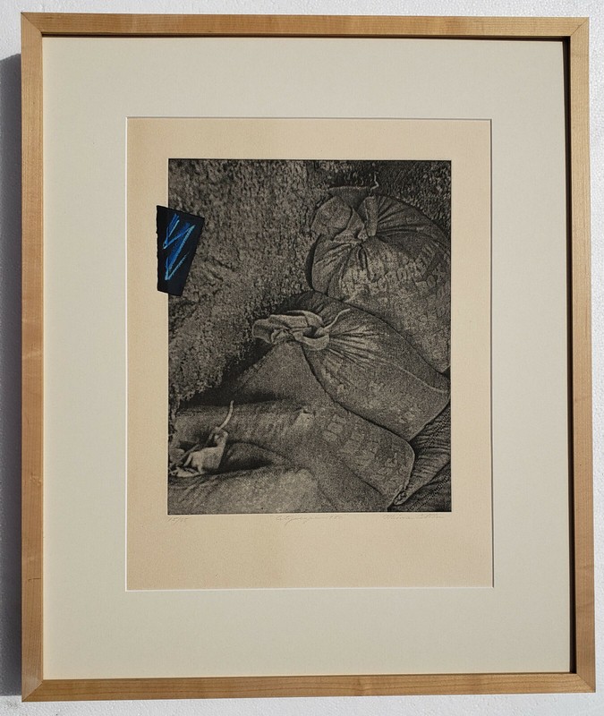 MINNA CITRON Hand Signed ORIGINAL Mixed Media Etching Pastel Collage «15/35»