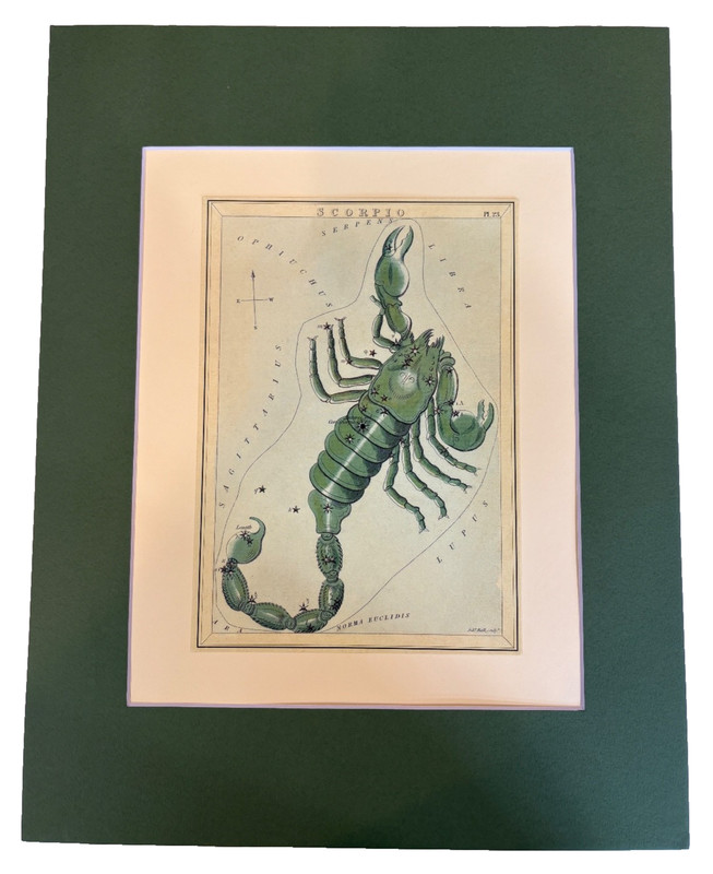 Scorpio the Scorpion Art Print 14″ x 11″ Mat Fits Standard Frame Constellation