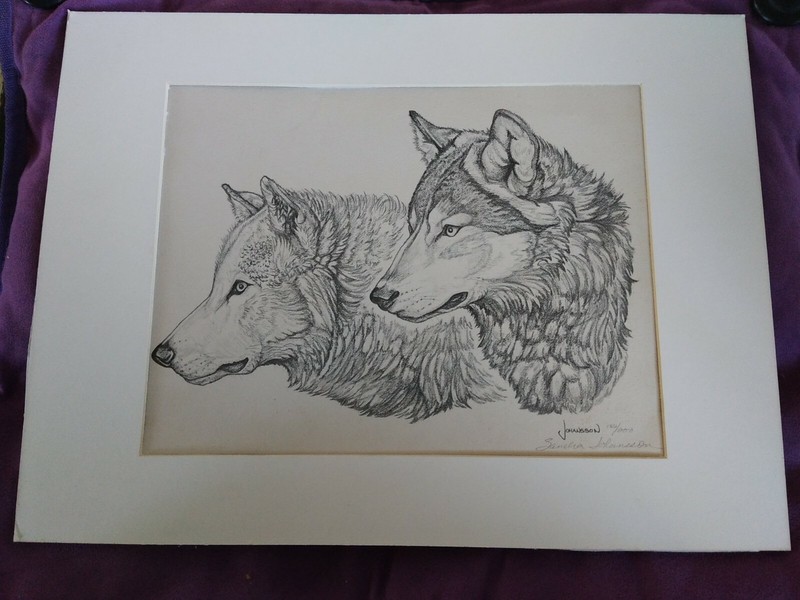 WOLVES HEADS SKETCHED GRAPHITE PENCIL ART Sandra Johansson signed 186/200 B2