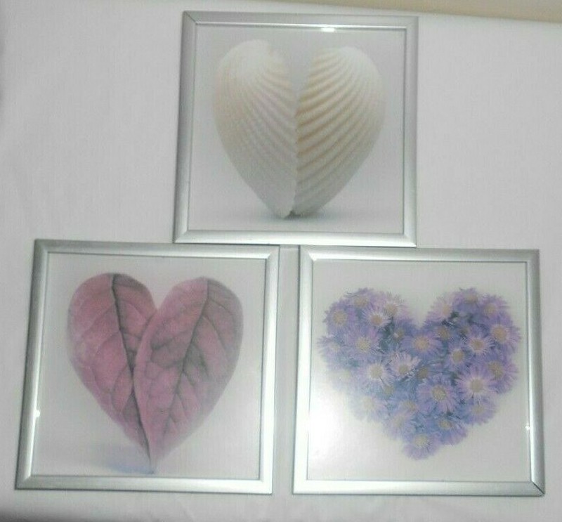 HEART of Leaves, of Shells, of Flowers 3 Small Prints 5.375" Silver Metal Framed gallery