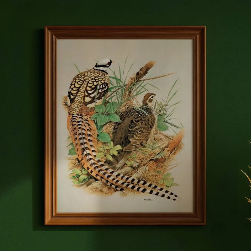 1981 Reeves Pheasant Syrmaticus Reevesi Game Birds Maurice 11.5 x 16.5 in