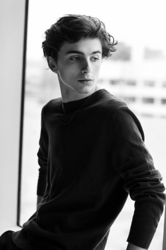 TIMOTHEE CHALAMET POSTER PRINTS – CHOOSE DESIGN/SIZE/FRAMED OPTION? a