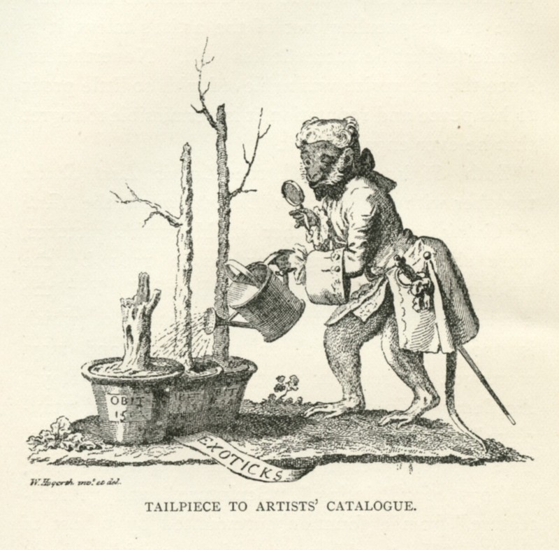 Hogarth engraving MONKEY WATERING artist catalog tailpiece 1891 vintage print