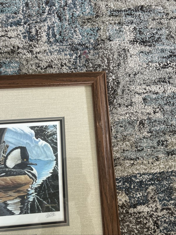 Framed 18 x 15.5 1993 Canada Hooded Merganser Signed Print & Stamp Ken Ferris gallery
