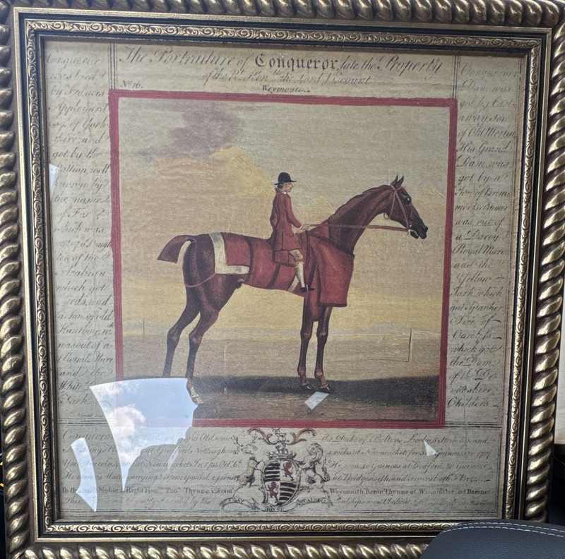 Black Horse Framed Equestrian Rider Print, Landscape, Canada Origin