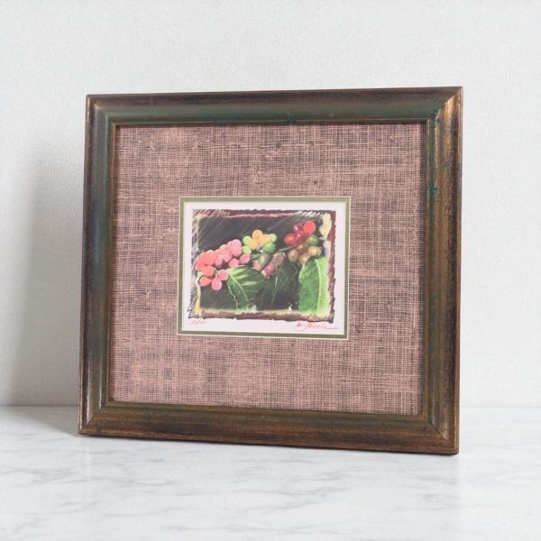 Mary Lovein «Tropical Fruits» Signed Limited Edition Hawaii Art 18.5×13.5cm