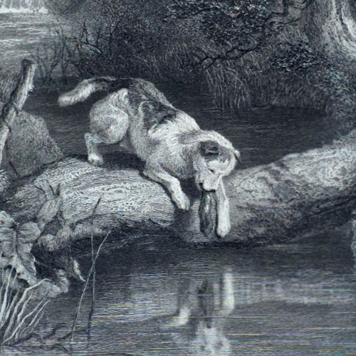 Dog and The Shadow River Scene Spaniel Reflection 1880 Antique Engraving
