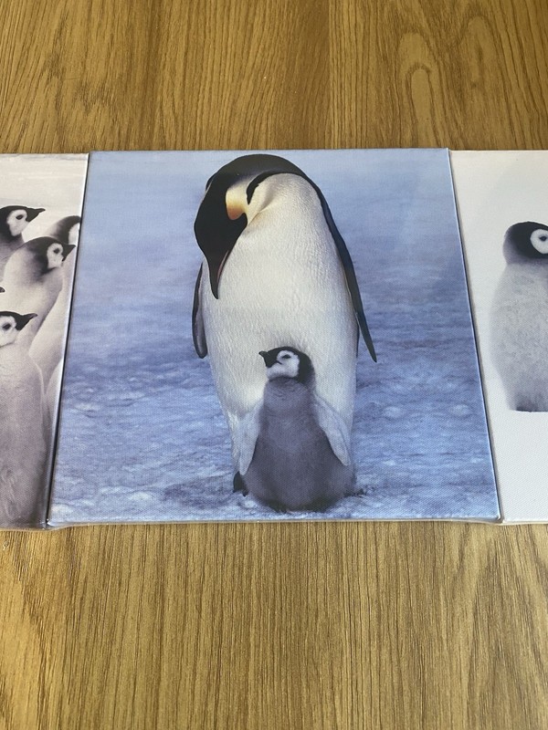 Penguin Canvas Wall Art Set of 3 Arctic Animal Prints 60x20cm gallery