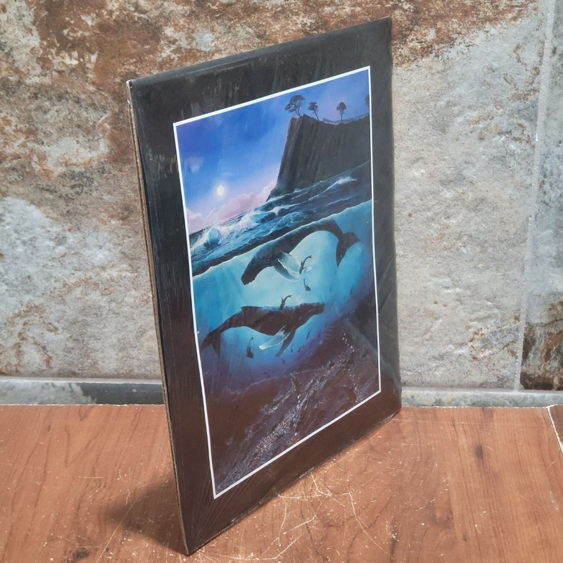 Vintage Unframed Whale Cove Art Print 1993 Robert Lyn Nelson gallery