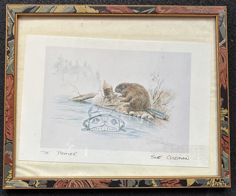 Sue Coleman – The Beaver – Framed Print