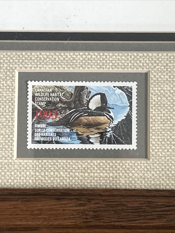 Framed 18 x 15.5 1993 Canada Hooded Merganser Signed Print & Stamp Ken Ferris gallery