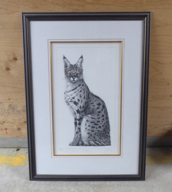 Signed Gary Hodges Elegance Serval Cat Print Limited Edition Large Framed 25.5″