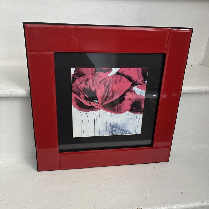 Framed Poppy Art Print Luxury Heavyweight Gloss 40cm x 40cm Ready to Hang