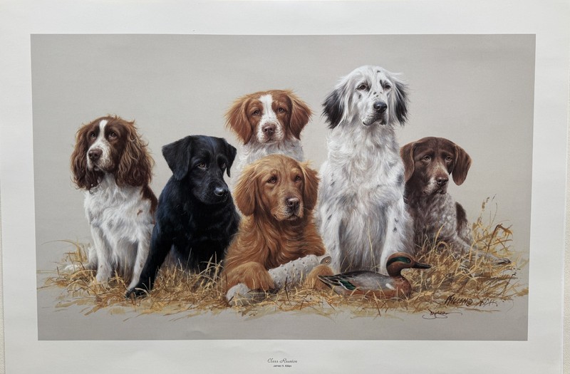 Jim Killen Sporting Dog Art Great Retrievers Labs (29.5″X20″) «Class Reunion»