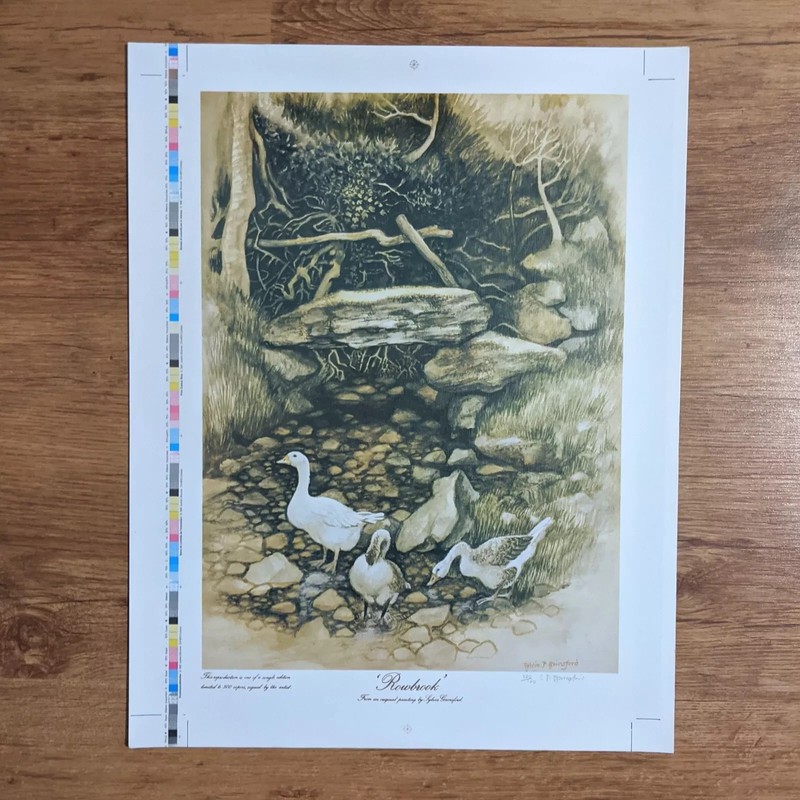 Vintage Signed Neutral Nursery Print Painting Wall Art Ducks Geese Birds uk
