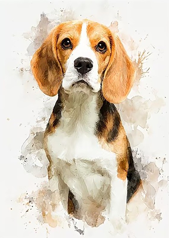 Beagle Dog Animal Watercolour Painting Print Unframed Canvas Wall Art 30 x 40cm
