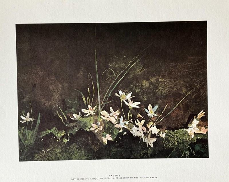 Vintage 1962 Andrew Wyeth «May Day» Art Print 16 3/4″ x 13